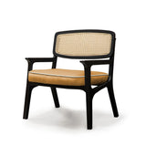 Fauteuil Karl — smooth easy clean gingerbread, smooth shell piping, black lacquered wood structure